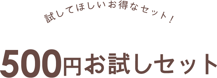 試してほしいお得なセット！500円お試しセット